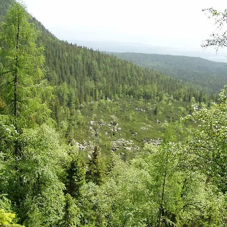 Pensjonat Vila Montana *